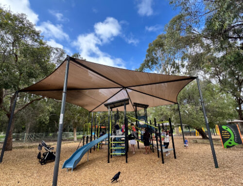 Ivey Watson Playground