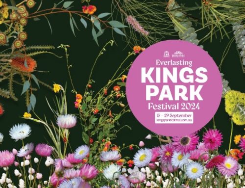 2024 Kings Park Festival