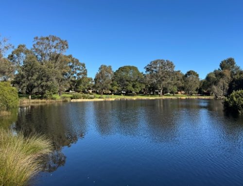 Lake Jualbup