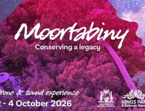2026 Kings Park Festival